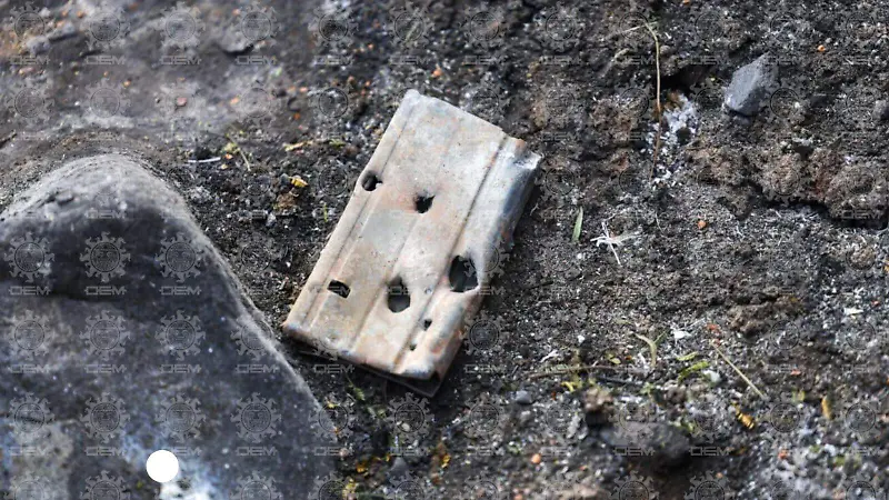 Francisco Rodríguez (8).jpeg